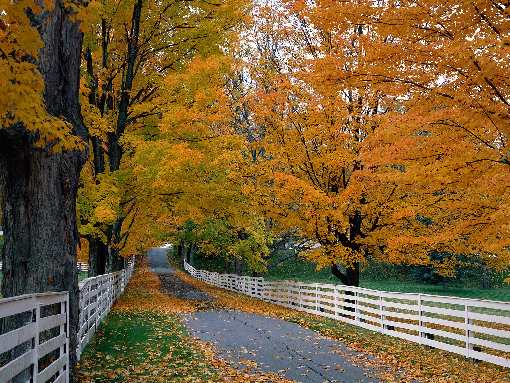 usługi ziemne Bydgoszcz