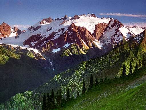 firma układanie brukowej kostki Toruń