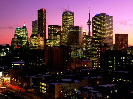 hodowle fci border collie