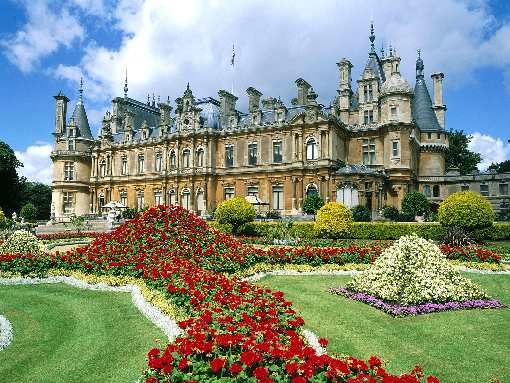 usługi koparką Bydgoszcz cennik