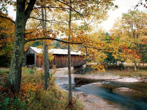 usługi koparką Bydgoszcz