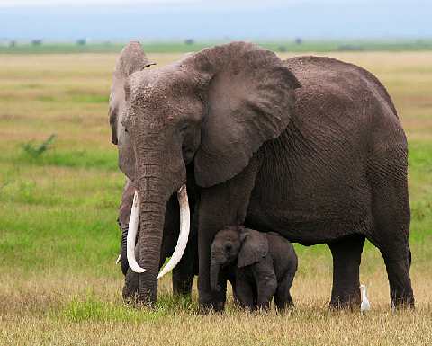 usługi brukarskie w Wałczu