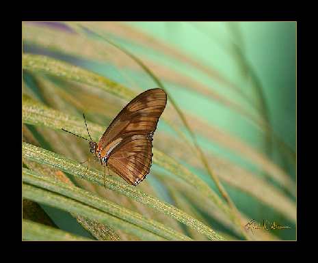 Bydgoszcz wywóz gruzu