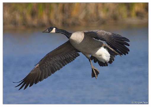 Pila ukladanie kostki
