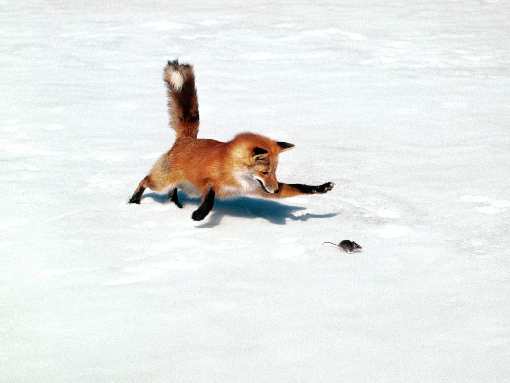Grodków fotowoltaika