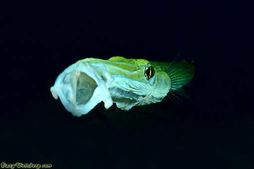 tanie układanie kostki brukowej Inowrocław