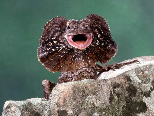 prace ziemne Bydgoszcz