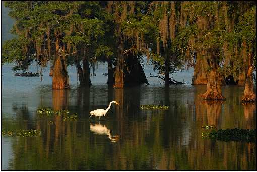 ranking firm brukarskich z Bydgoszczy