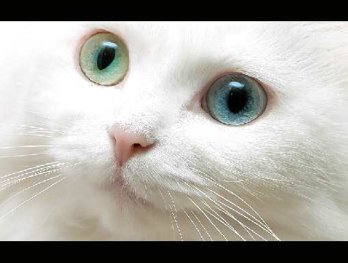 kostka brukowa Piła