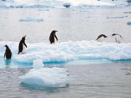 Chocianów fotowoltaika