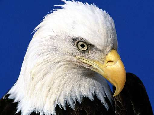 koparka w Bydgoszczy