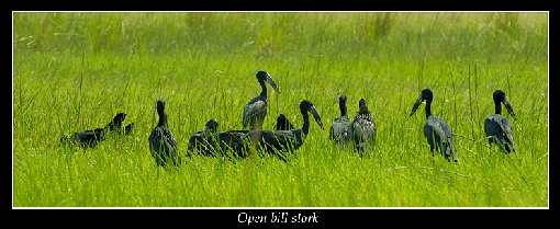 Bydgoszcz usługi koparką