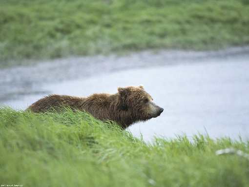 uslugi brukarskie Walcz