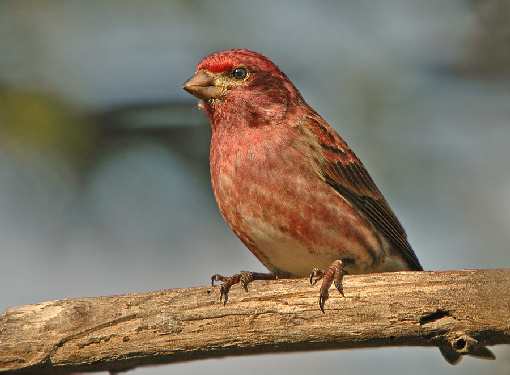 prace ziemne Bydgoszcz