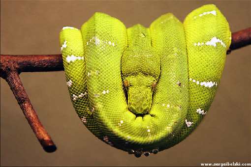 brukarstwo Bydgoszcz