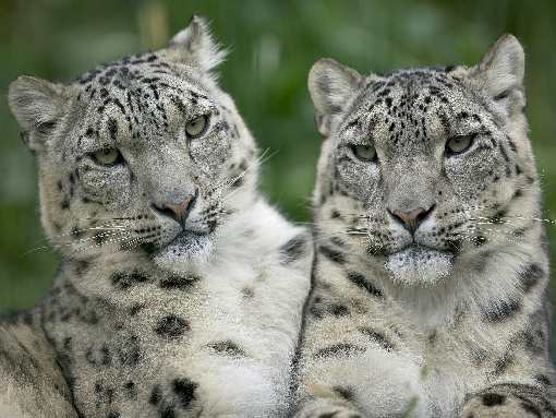 Głogów fotowoltaika