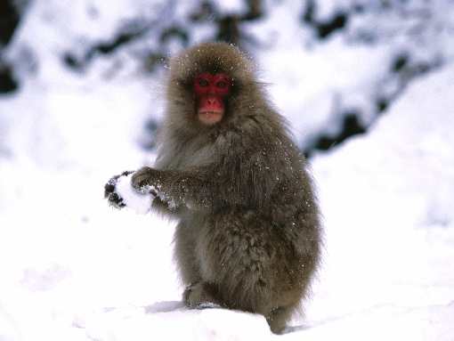 prace ziemne Bydgoszcz