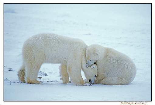 fotowoltaika Stronie Śląskie