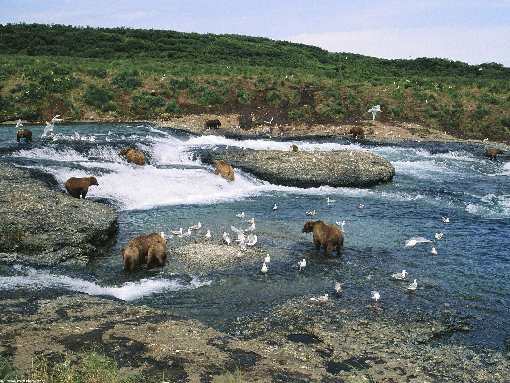 piec centralnego ogrzewania ekogroszek Bydgoszcz