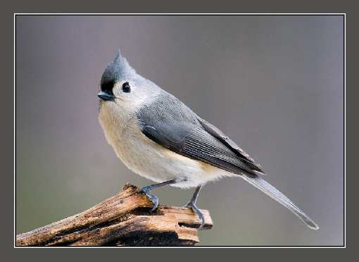 usługi koparkowe Bydgoszcz