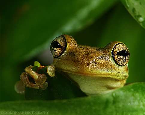 firmy brukarskie Bydgoszcz opinie