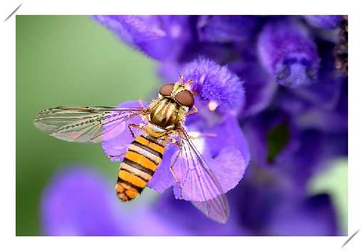 kostka brukowa układanie w Koszalinie