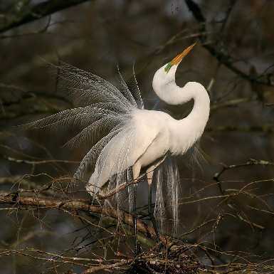 Swinoujscie kostka brukowa ukladanie