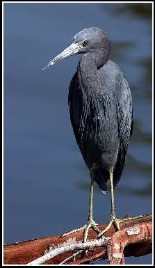 Koszalin kostka brukowa układanie