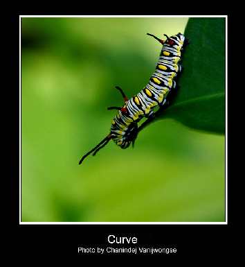 kostka brukowa ukladanie Koszalin