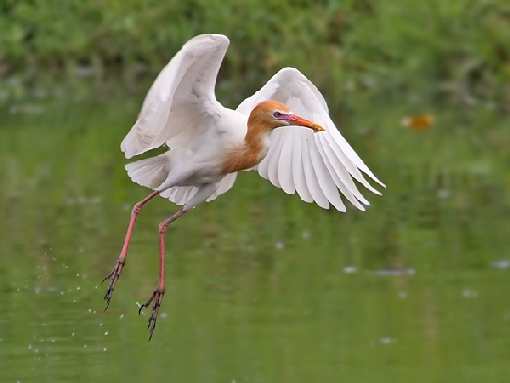 Brukarstwo w Bydgoszczy