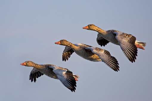 prace ziemne Bydgoszcz