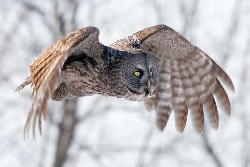 pompy ciepła Skępe