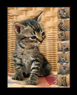 instalacja gazowa Kujawsko-pomorskie