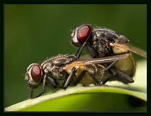 kostka brukowa układanie w Koszalinie