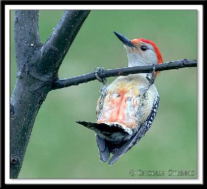 ukladanie plyt na betonie Bydgoszcz