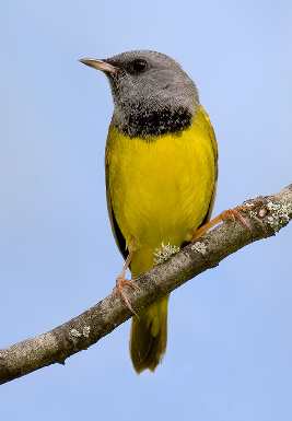 układanie kostki Bydgoszcz