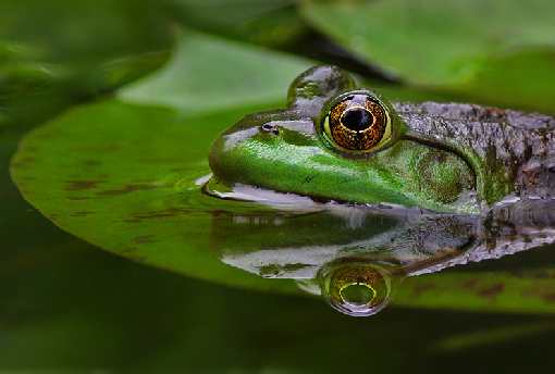 układanie kostki w Pile