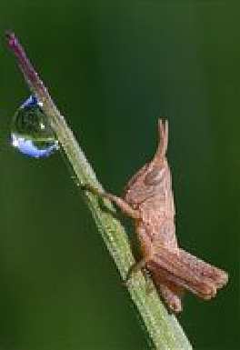 koparka wynajem Bydgoszcz