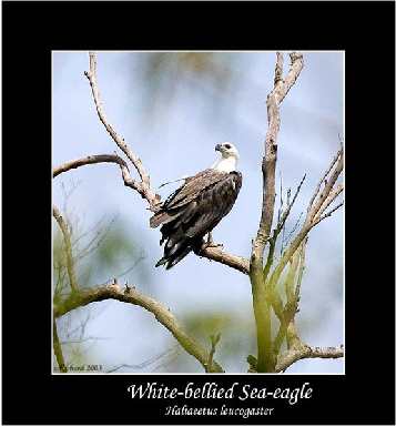 układanie brukowej kostki Bydgoszcz cena