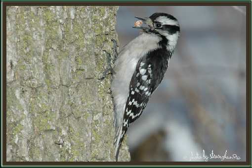 firma brukarska w Pile