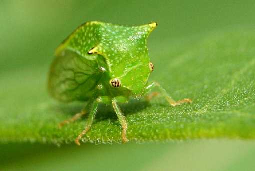 Bydgoszcz usługi koparko ładowarką Bydgoszcz usługi koparko ładowarką