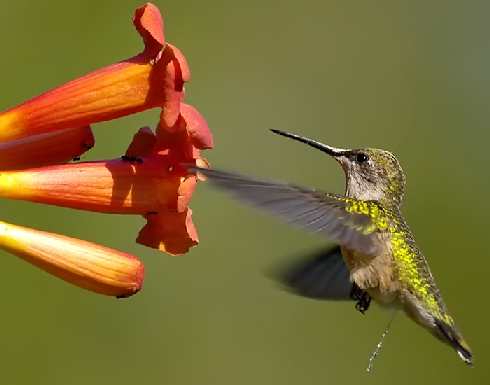 usługi koparkowe Bydgoszcz