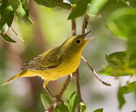 układanie bruk Grudziądz