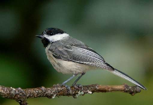 dobra firma brukarska w Wrocławiu