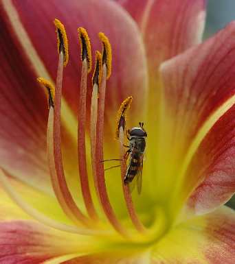 układanie kostki brukowej Wrocław