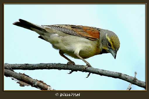 usługi brukarskie Wrocław