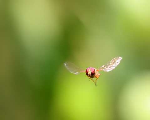 prace ziemne Bydgoszcz