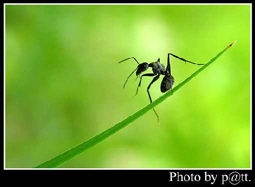 Czarnków układanie kostki granitowej