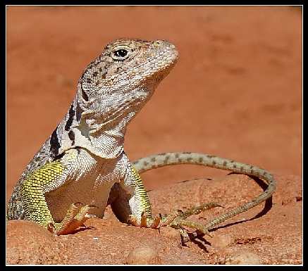 Duszniki-Zdrój fotowoltaika