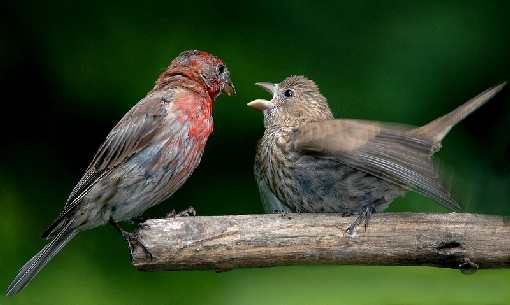 koparka w Bydgoszczy